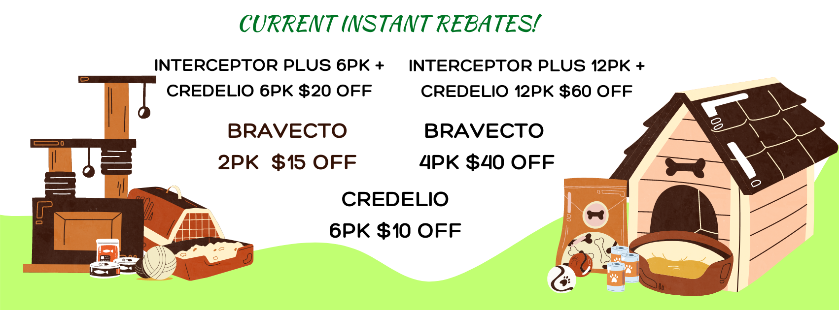 Instant Rebates Promotion