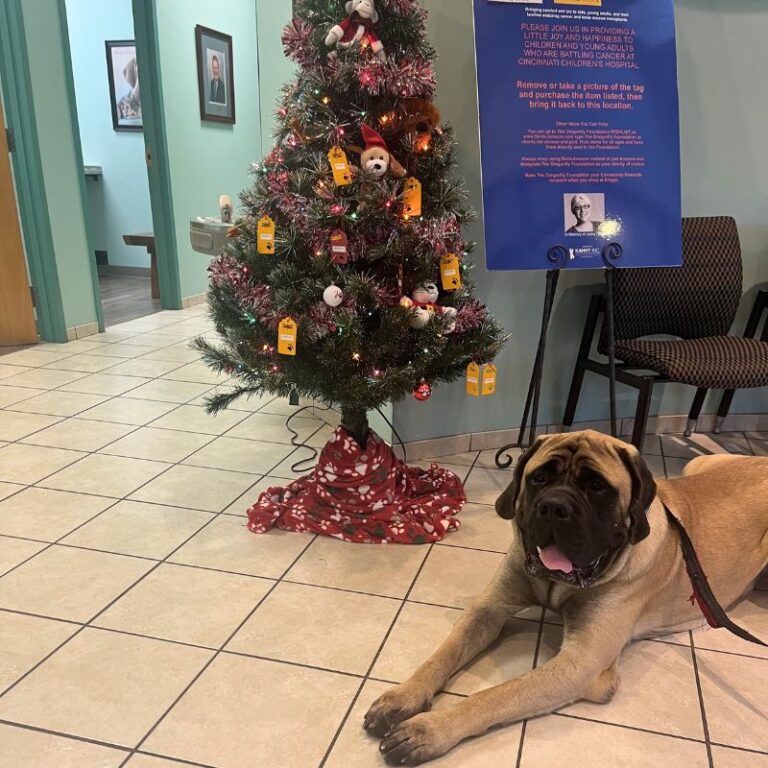 Dragonfly Foundation – Angel Tree